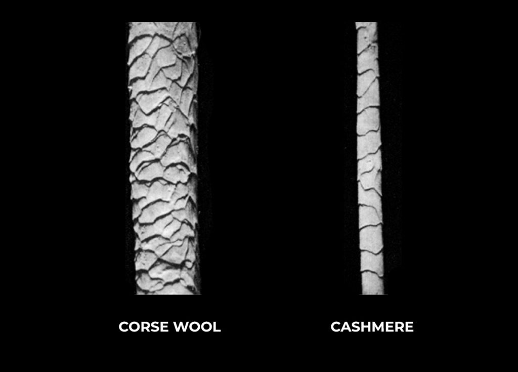 Thickness comparison between coarse wool and Cashmere fibre - Have you heard these unknown facts about Cashmere