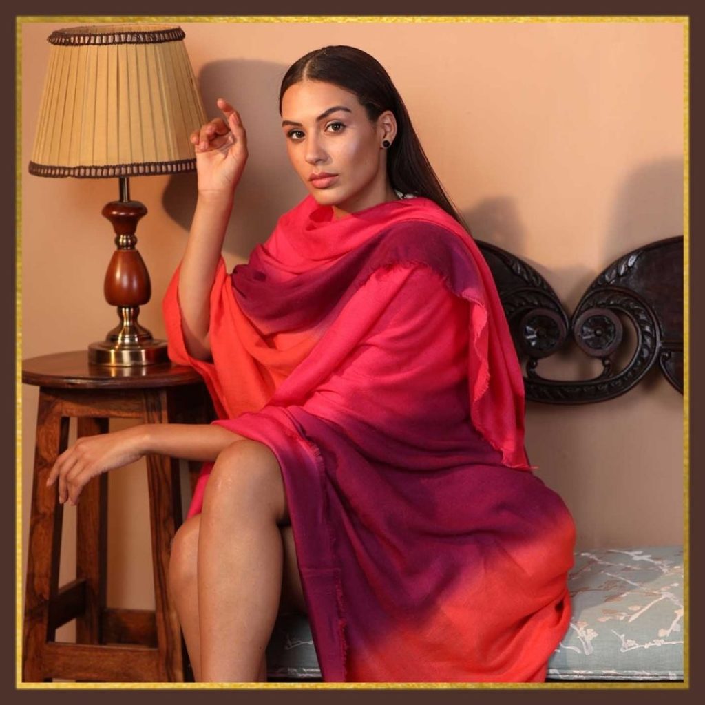 Ombre Pashmina Shawl