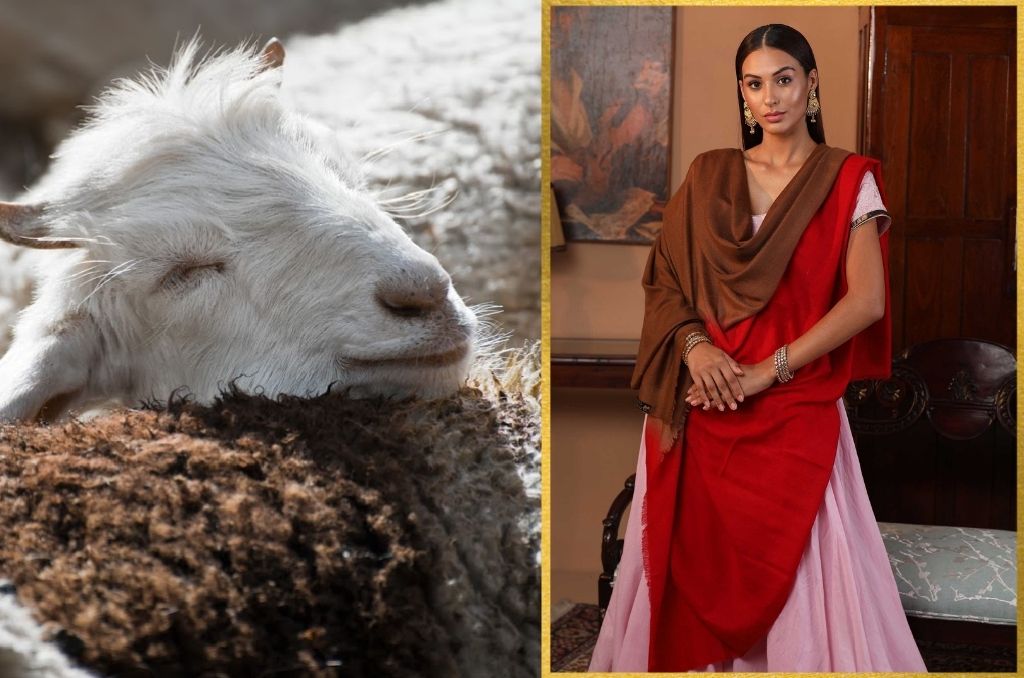 tie the knot irish wedding tradition