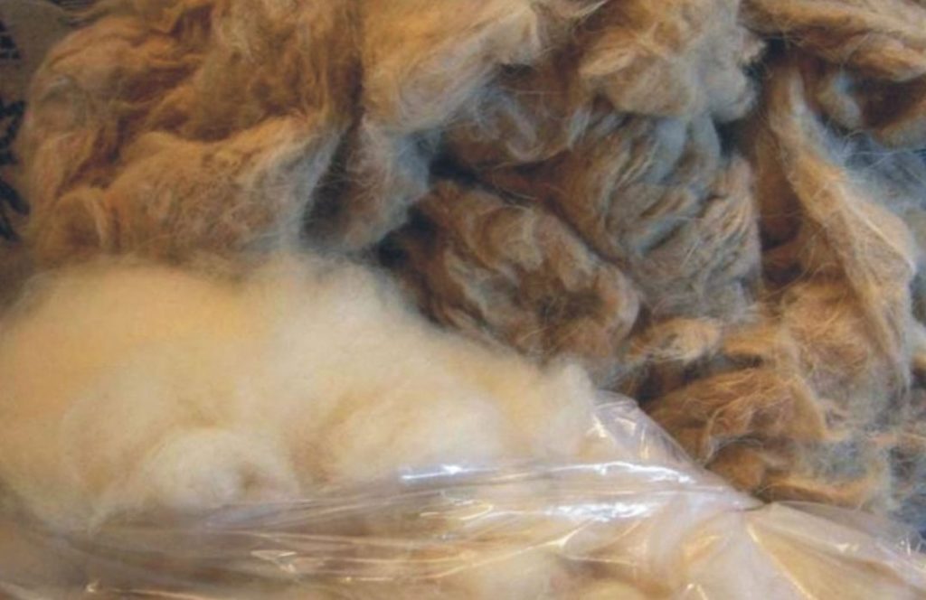 Raw cashmere fibre