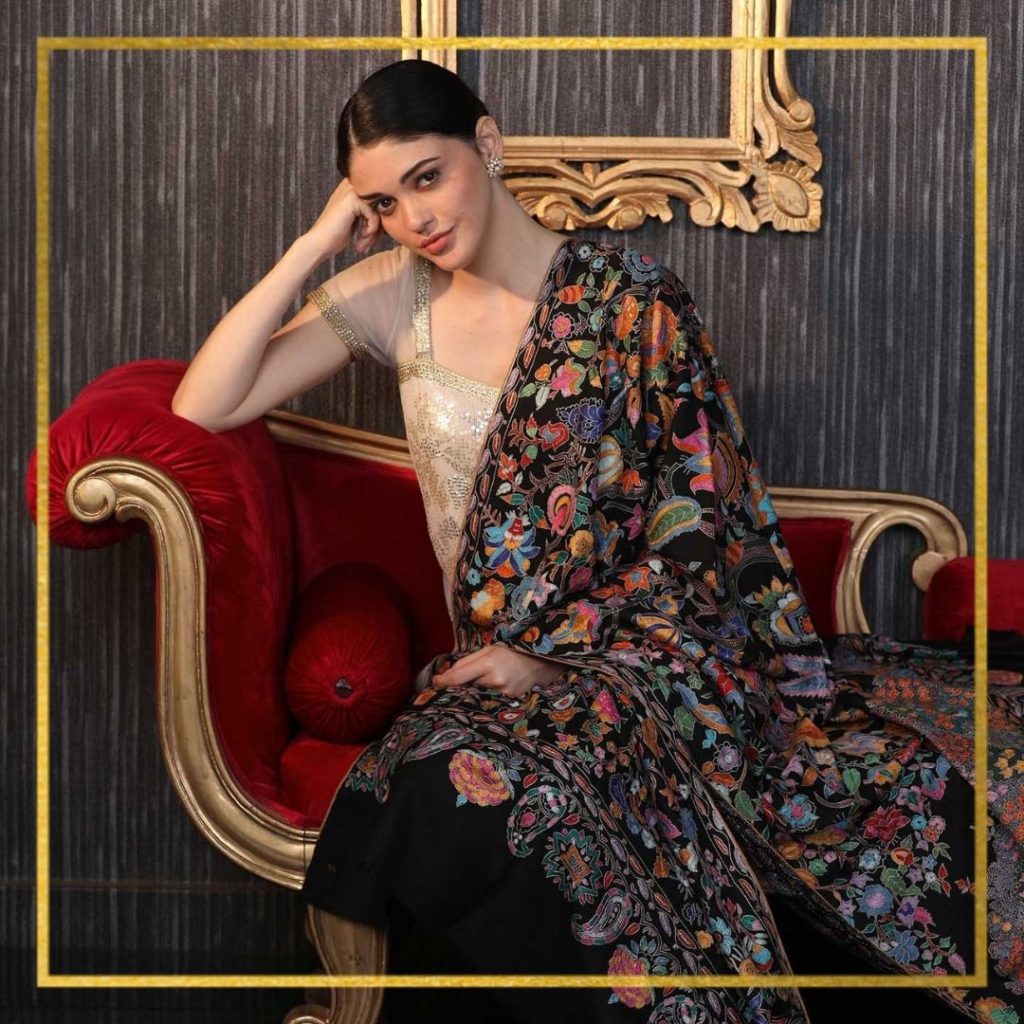 embroidered pashmina shawl