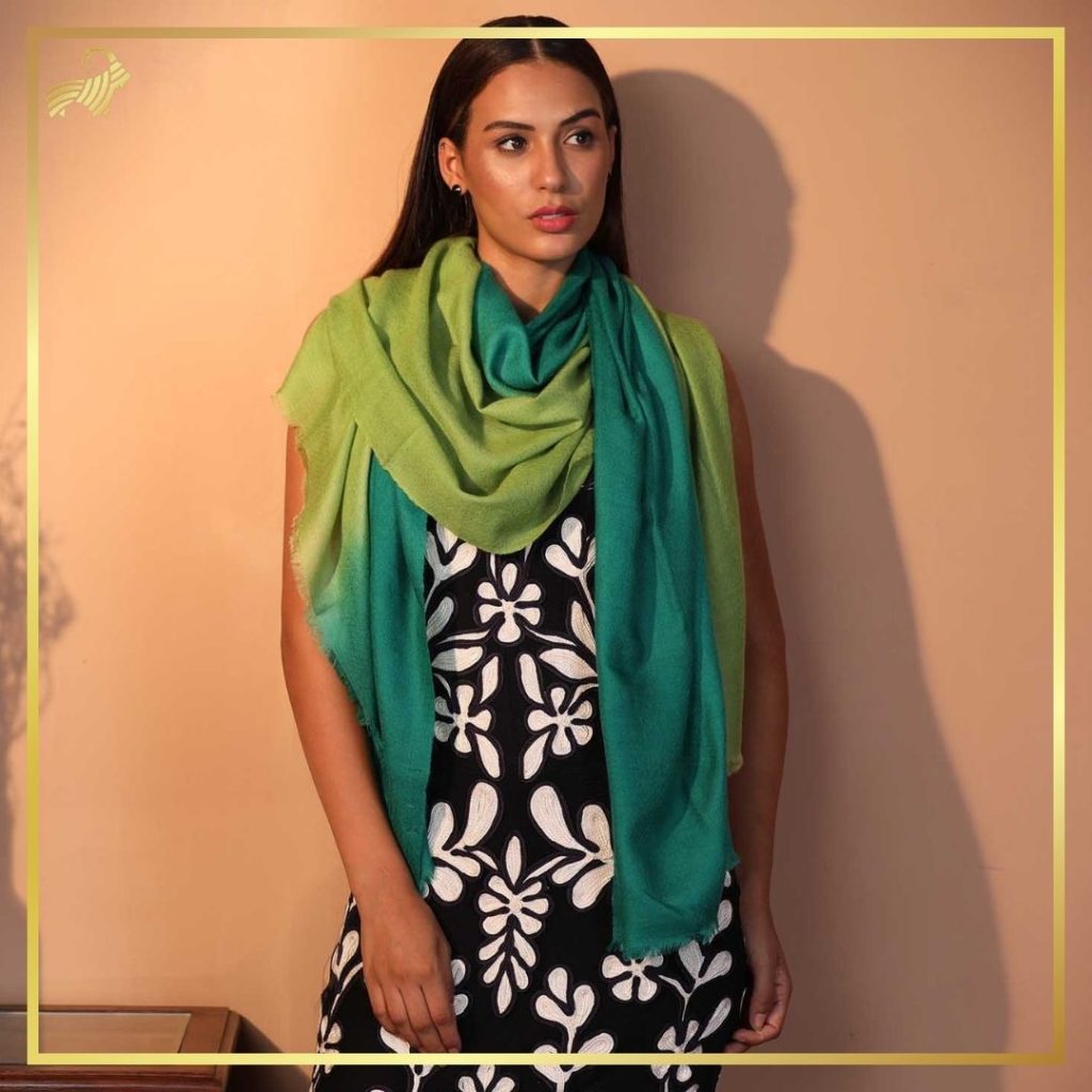 ombre pashmina shawl