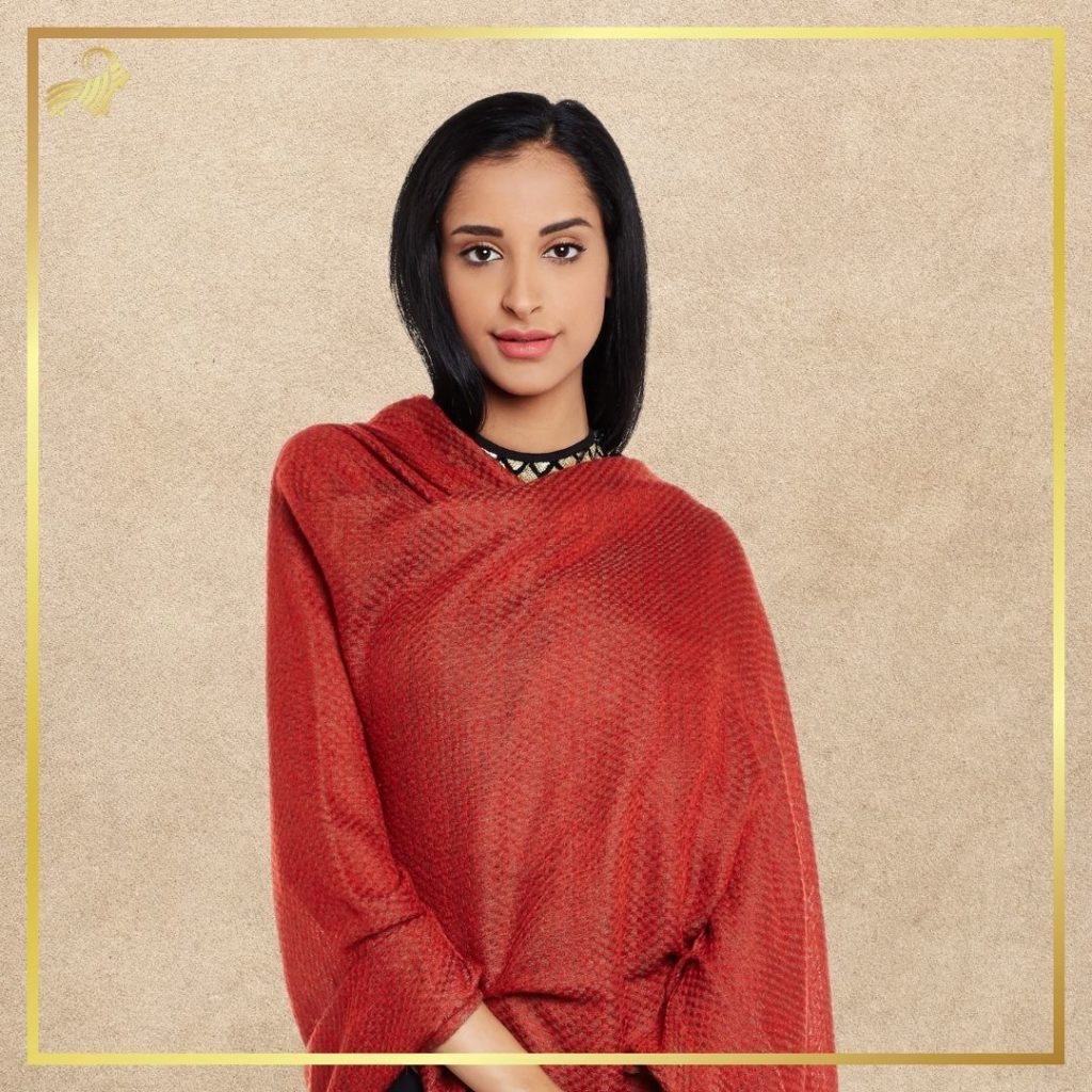 textured pashmina shawl