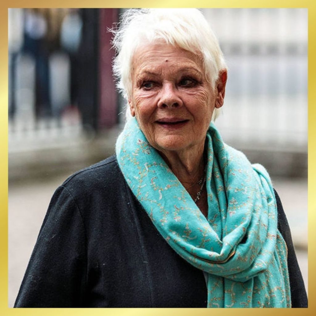Judi dench in pashmina