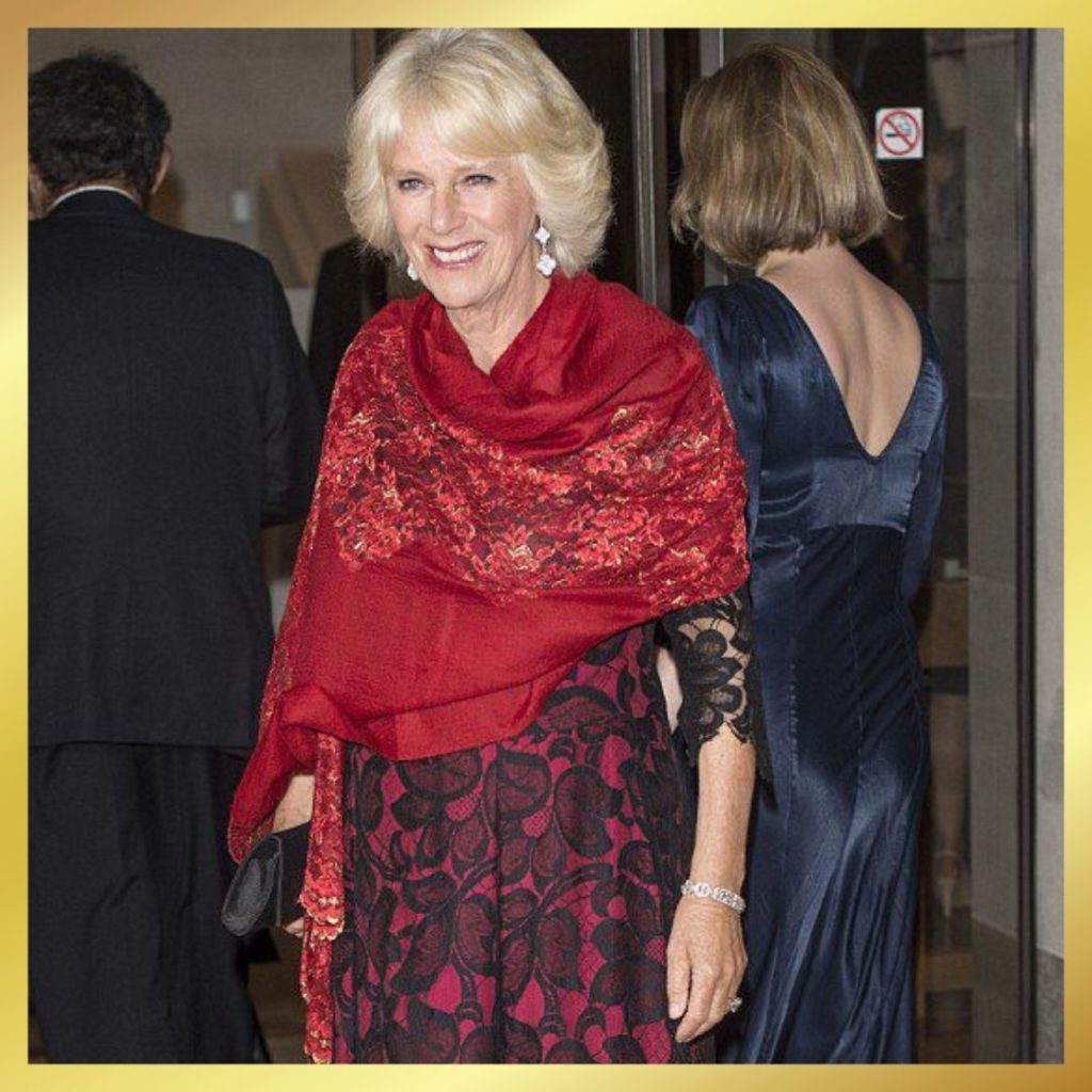 camilla in cashmere