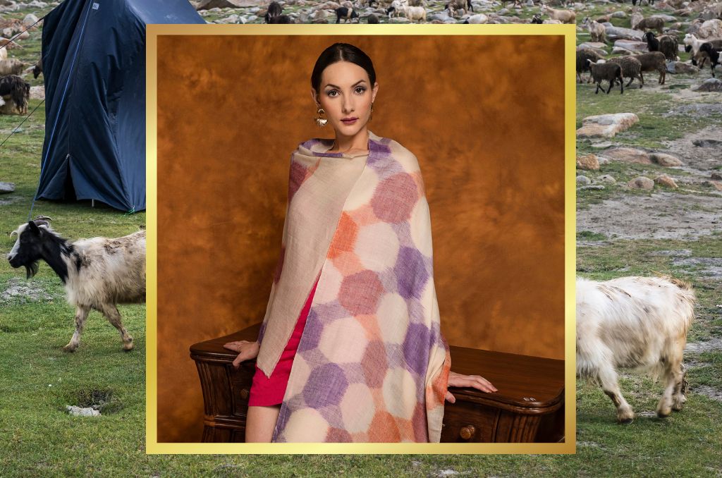 Is Pashmina a Kashmiri goat? - Pashmina Editorial