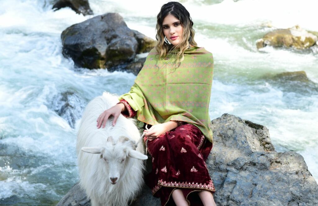 Kashmiri Pashmina shawl
