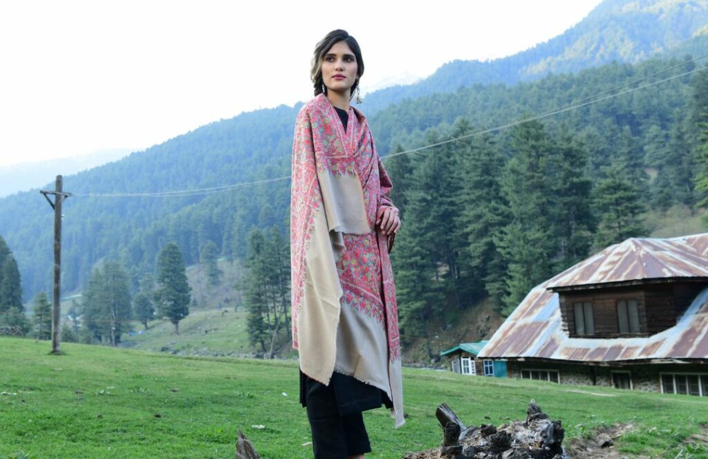 Pashmina shawl for travelling